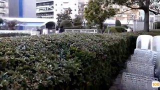 77这里有精品视频